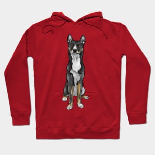 New Guinea Singing Dog | Black and Tan Hoodie